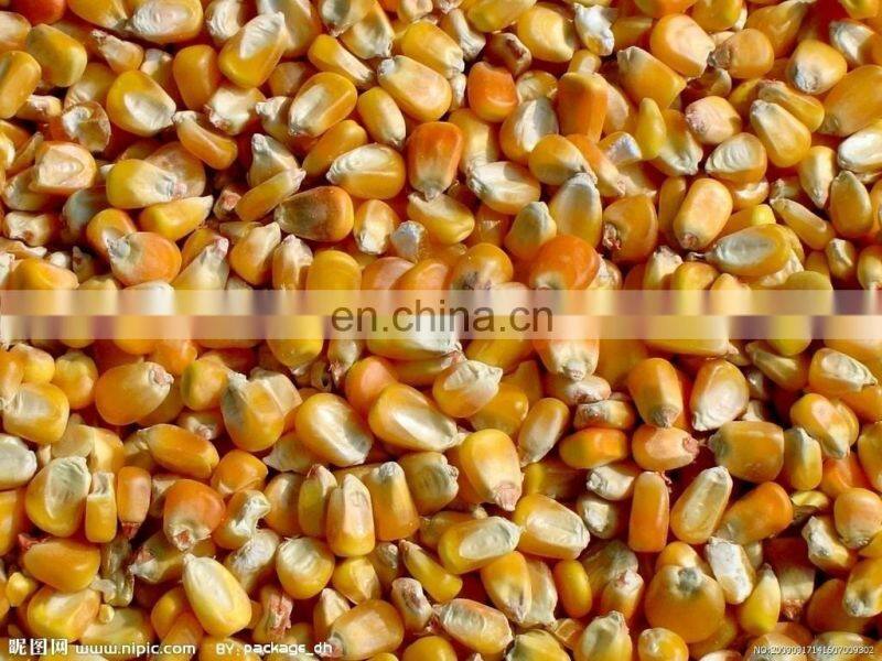Automatic modern and advanced multifunctional corn husker in factory directly price