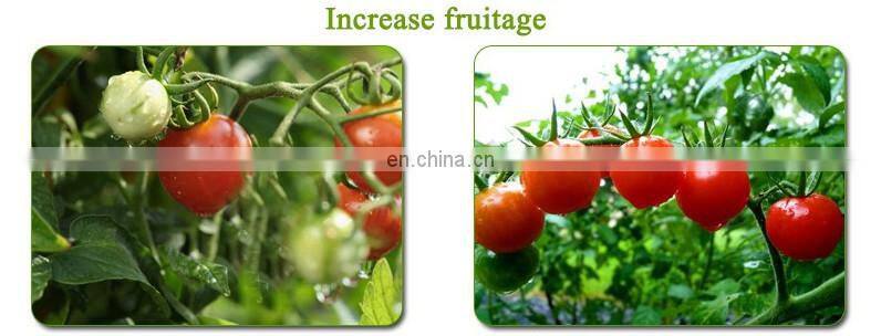 New waterproof 100W LED plant growth lamp greenhouse indoor planting vegetable melon fruit fill light