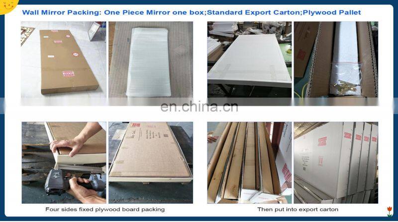 Economical plastic wall mounted full length mirror