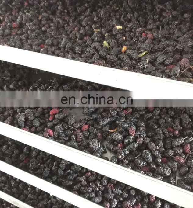 OrangeMech commercial vacuum fruit/strawberry/mango freeze dryer lyophilization machine/freeze drying equipment