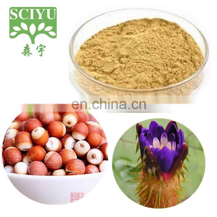 100% Natural Gordon Euryale Seed Extract Semen Euryales Extract