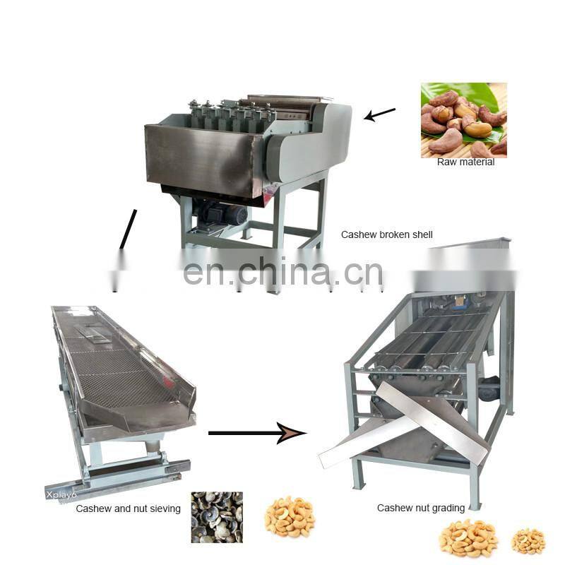 Good performance Apricot kernel classifier grader sorting machine