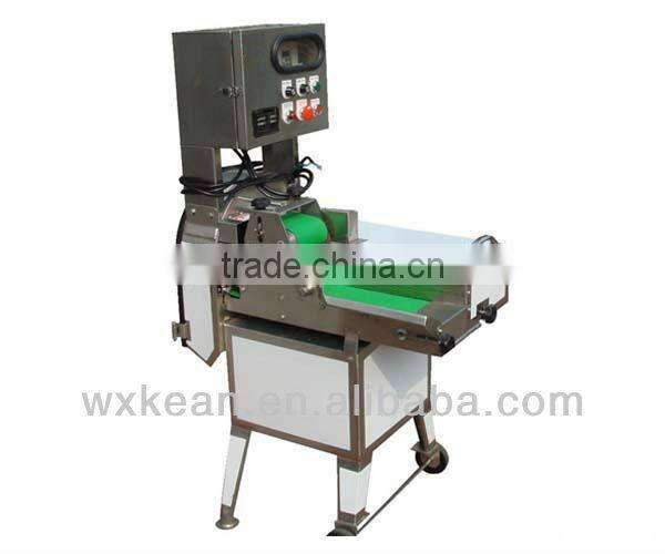 Hot selling Automatic vegetable cutter manufactured in Wuxi Kaae