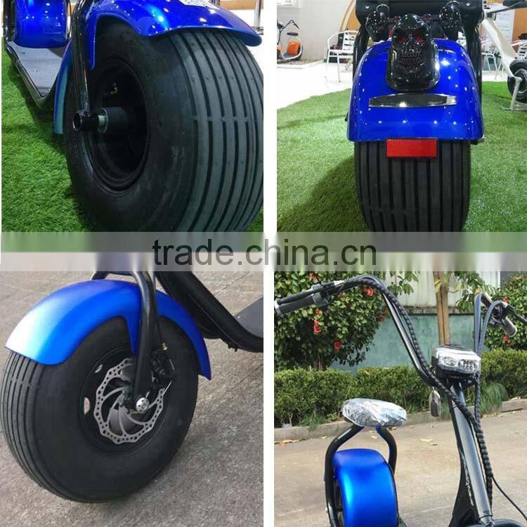 Big Wheel Kick Electric 800W Citycoco Mini Scooter Two Wheels Self Balancing