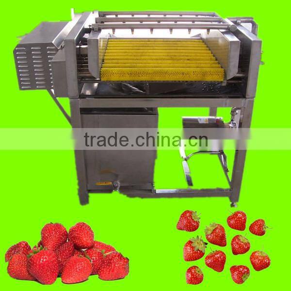 strawberry processing line/hot sale strawberry machine strawberry canned fruit machine