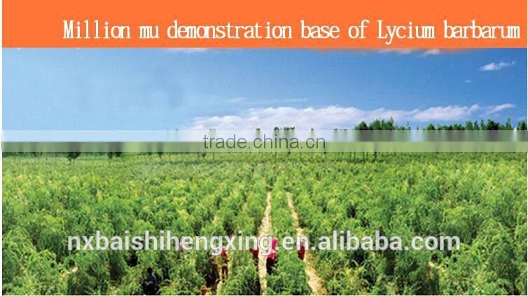 Boxthorn,Ningxia Yishaotang Goji berry dried fruit to export,Dried Goji berries fruit Ningxia Dried Goji berry nutrition