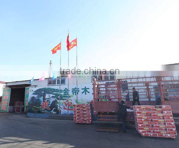 laminated flooring skirting interior laminated flooring