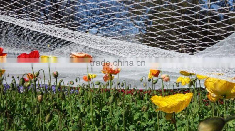 Anti-Bird Net For Garden bird control net, plastic hdpe anti bird net