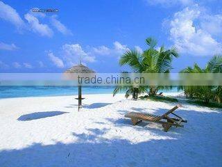 Stainless steel commercial 3 flavors Soft Serve Ice Cream Machine/Ice cream maker