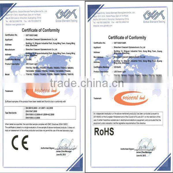 85/265V 3 phase cob led 24w track light popular fitting in China clothing store
