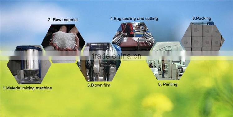 Wholesale top quality disposable sterile food and medical usage CPE plastic gloves