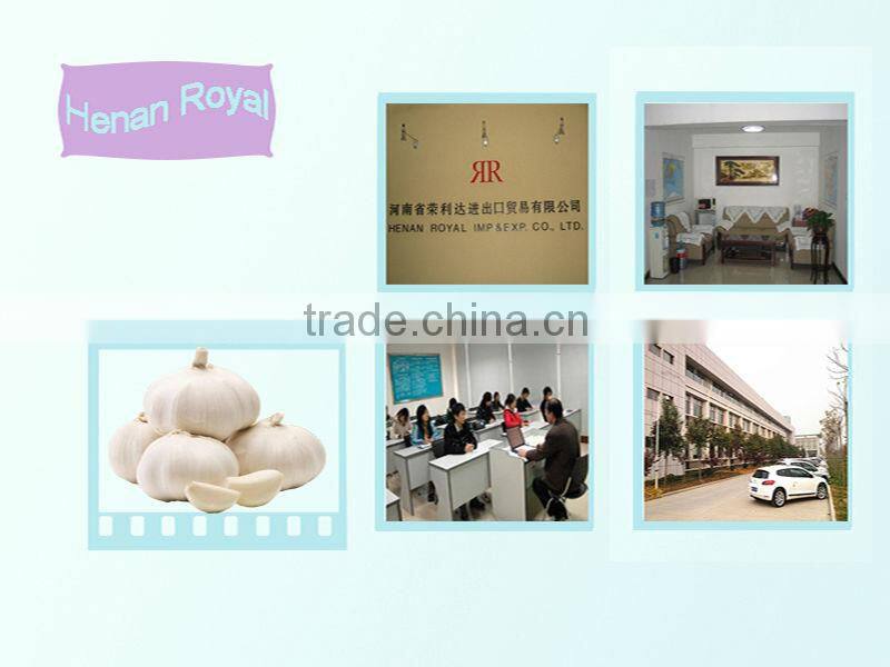 JInxiang China Fesh Pretty Garlic