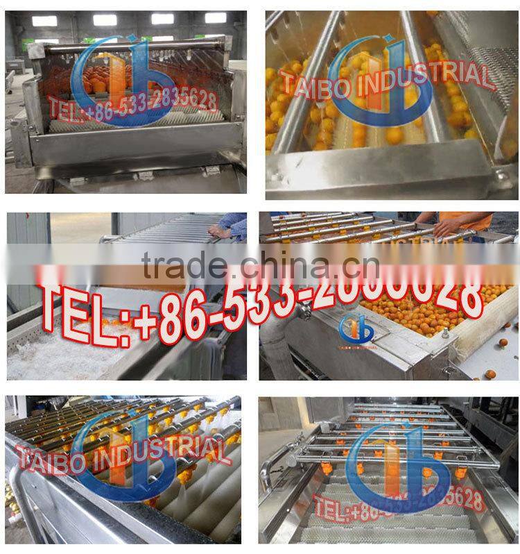 Industrial Orange Lemon Washing Machine(for big batch)