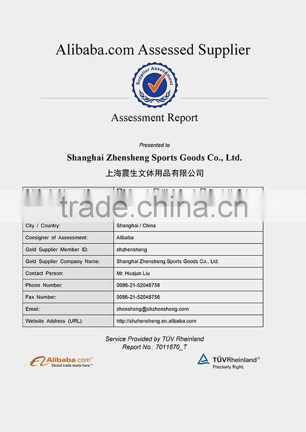 Zhensheng agility cones football training cones