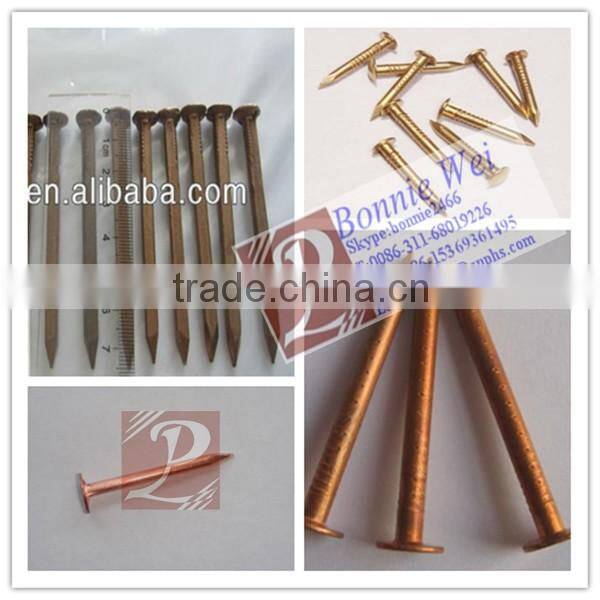 Wholesale cheap price flat head copper nail