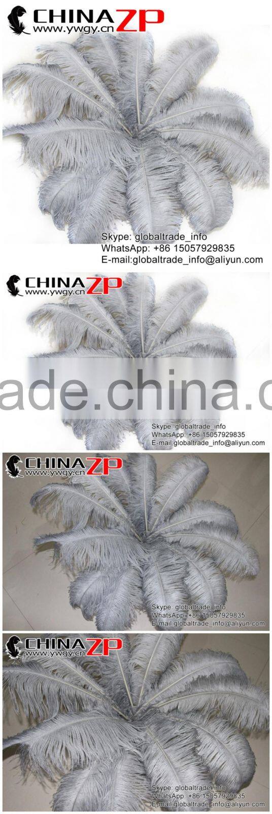 CHINAZP Factory Exporting Leading Bulk Sale Colored Stripped Silver Grey Large Ostrich feathers for Weddings