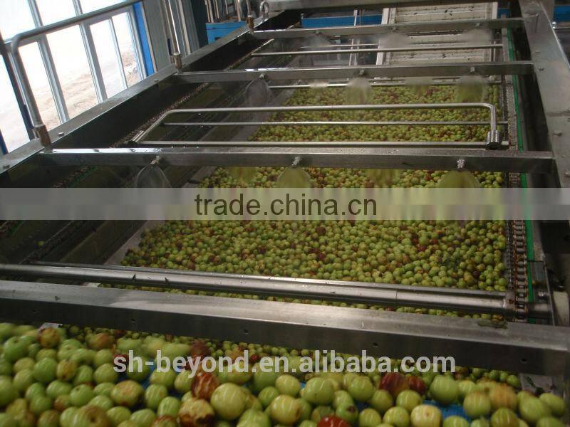 Complete Date Fruit Juice Processing Line
