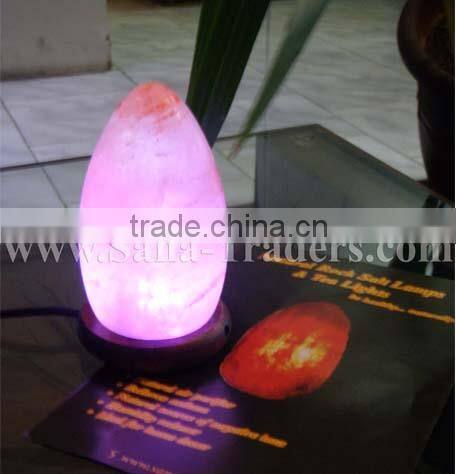 Natural Himalayan Rock Salt Mini Mushroom Shape USB Lamp
