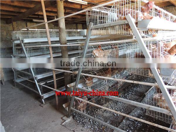 Poultry farming cages in kenya
