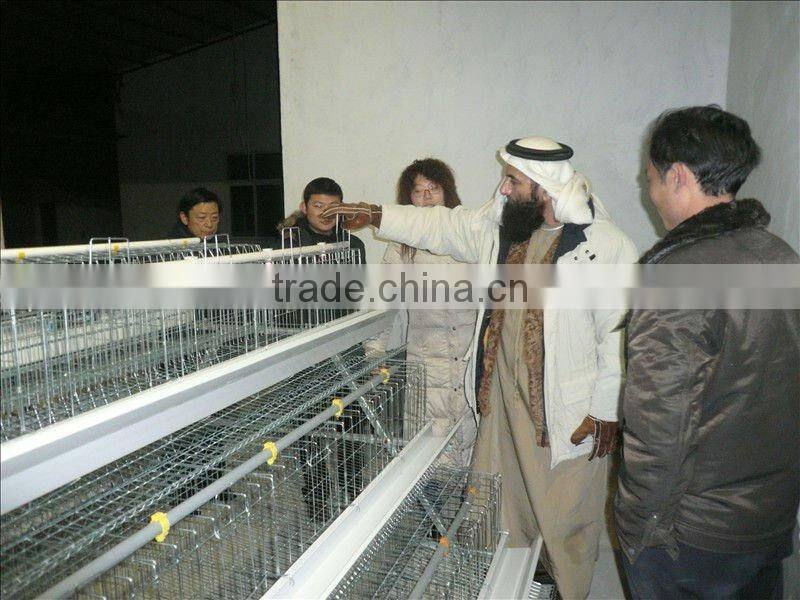 chicken cage,automatic poultry equipment,chicken layer cage