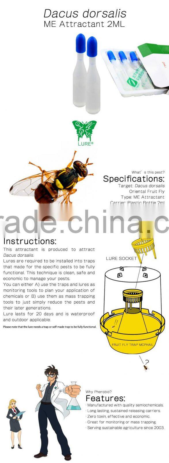 Fruit Fly Dacus dorsalis (Oriental Fruit Fly) Lure/Attractant, Methyl Eugenol