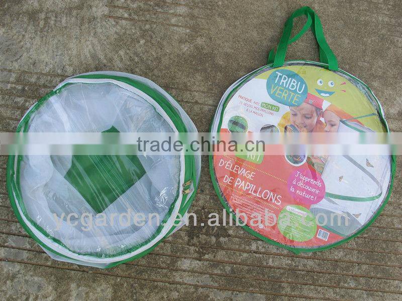 mesh cage for observing insects