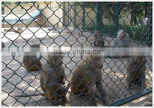 Reliable alibaba express Fence chain link