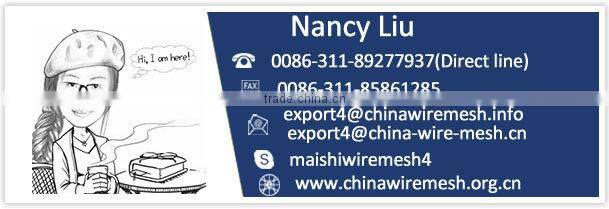 Stainless Steel Wire Mesh