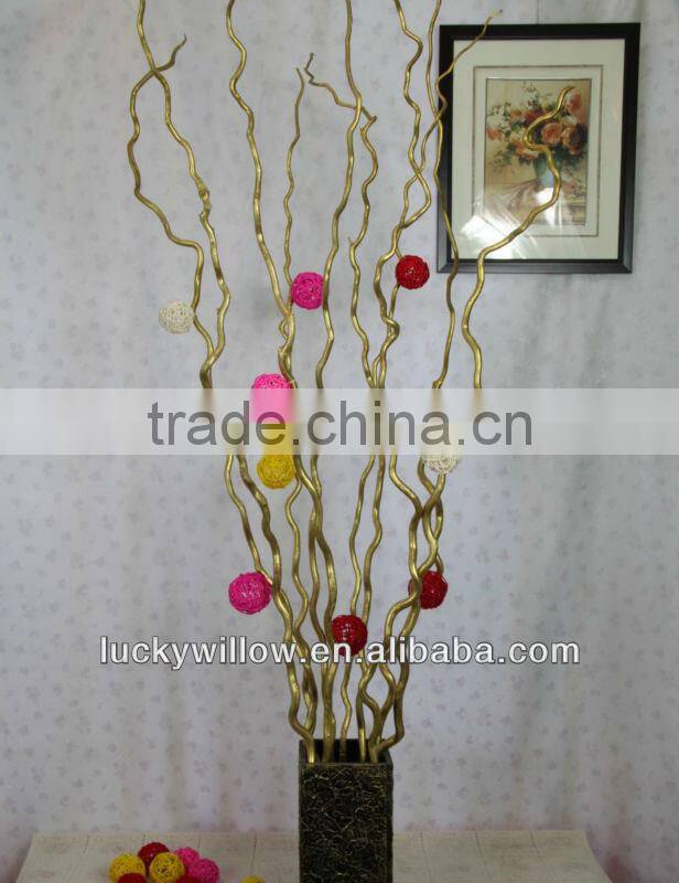 Prafessional factory supply Chinese dragon willow ,longliu,dragon sang for home & office decoration