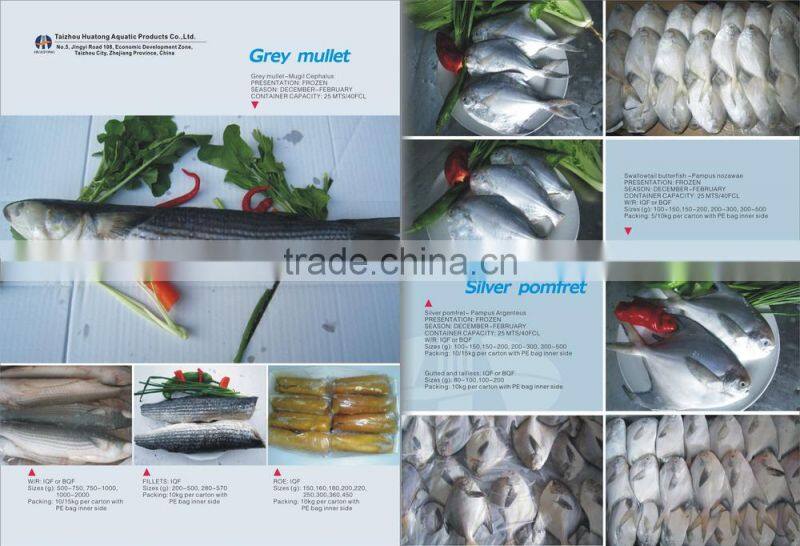 frozen spanish mackerel steaks