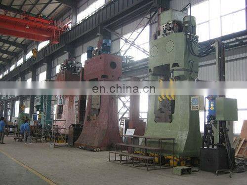 Forging Steel Vinyl Coated Lifting S-Hook