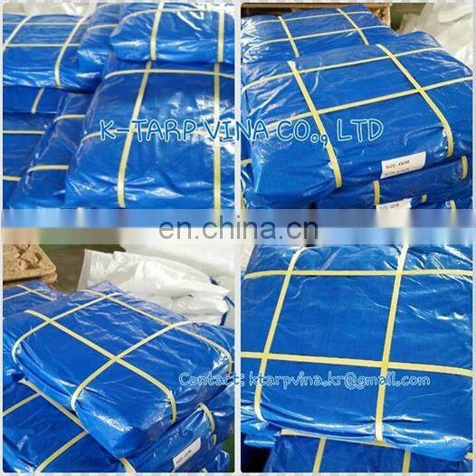 Blue/White Tarpaulin Sheet, 4*5m, 125 gr/sqm