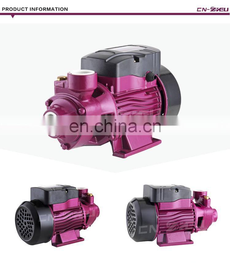 Home use electric 0.5 hp motor water lifting service pump for high rise building