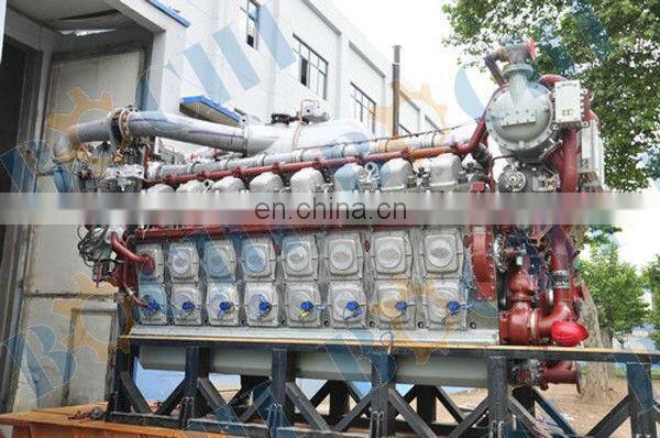 High Quality Powerful Marine zs195 Diesel Engine