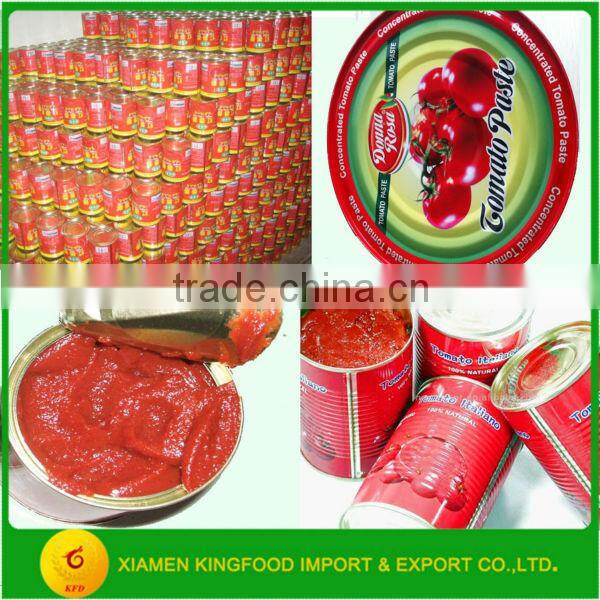 Best Quality of Newly Can of Tomato Paste with Wholesale Price