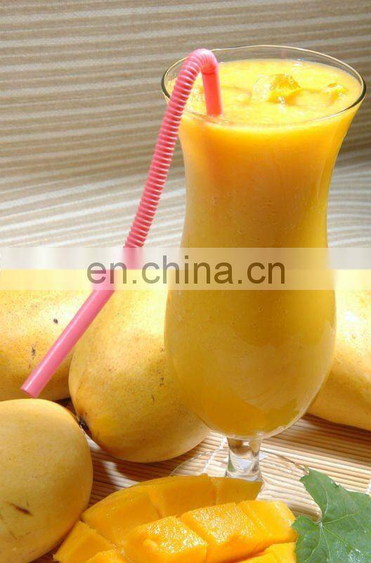 high efficiency stainless steel mango juice making machine