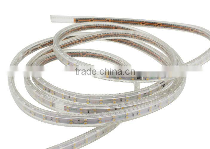 HUGEWIN double golden lines 3528 strips 120leds per meter smd strip lights 3528 220v
