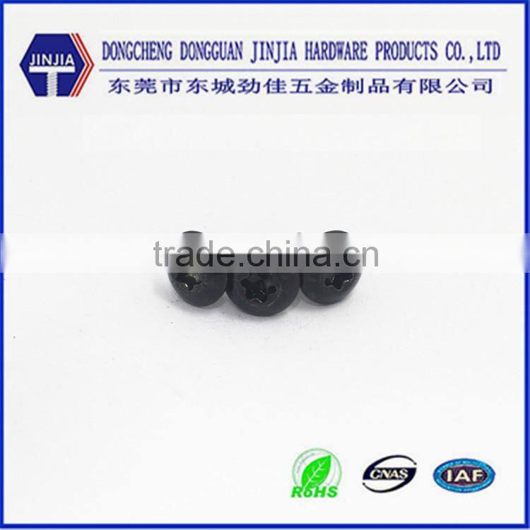 China screw manufacturer M1.0-6.0 black zinc plated torx security screw