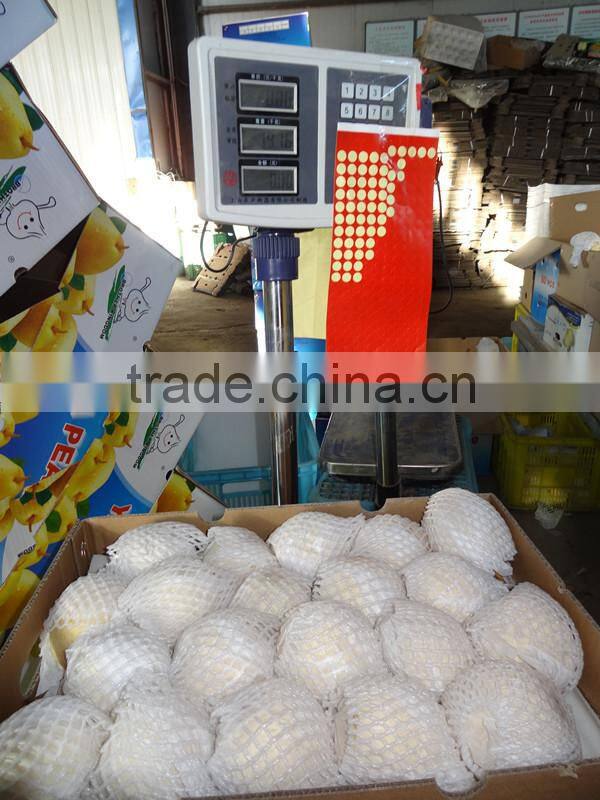 Ya Pear from BROTHER KINGDOM