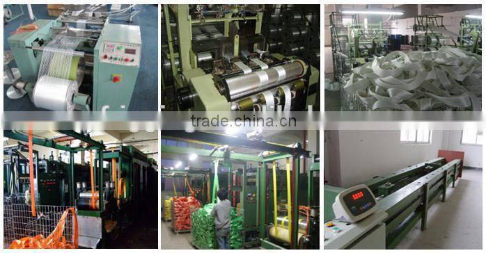 EN12195-2 Ratchet Tie Down/Ratchet Straps/Cargo Lashing Strap