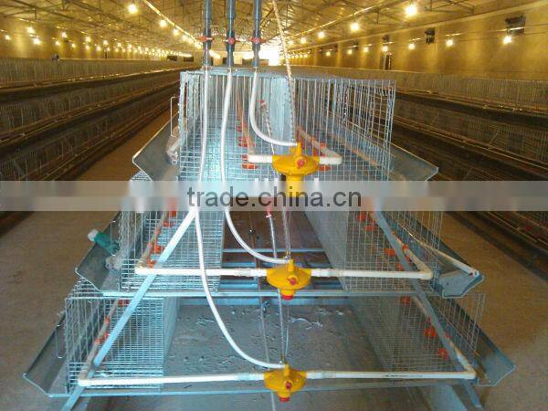 Hot Selling H Type Automatic Poultry Farm Layer Cage In Algeria