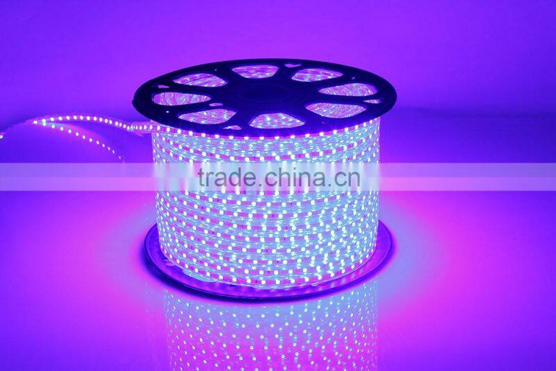 2016 Hotsale Europe High Lumen 220V led Rope Light