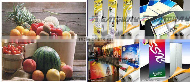 Dye pp paper, Eco-solvent pp paper, Matte pp paper for poster advertising