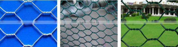 Anping Factory direct hexagonal wire netting with best price and quality
