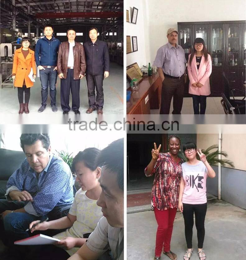 Automatic Plastic Bottle Carbonated Drink Filling Machine/Complete Line