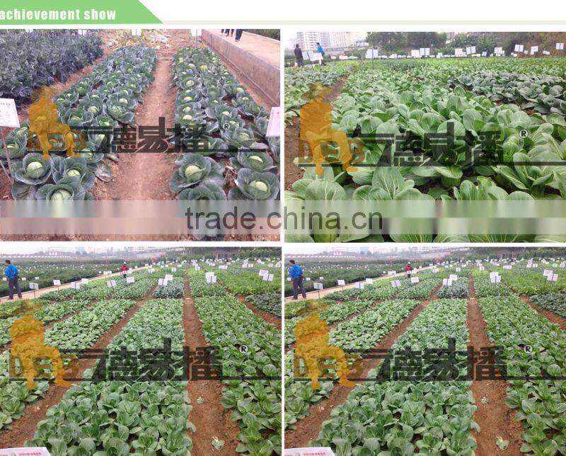 2 rows easy operated electric-driven vegetable planter for planting vegetable seeds