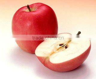 Apple Extract 80% Polyphenols