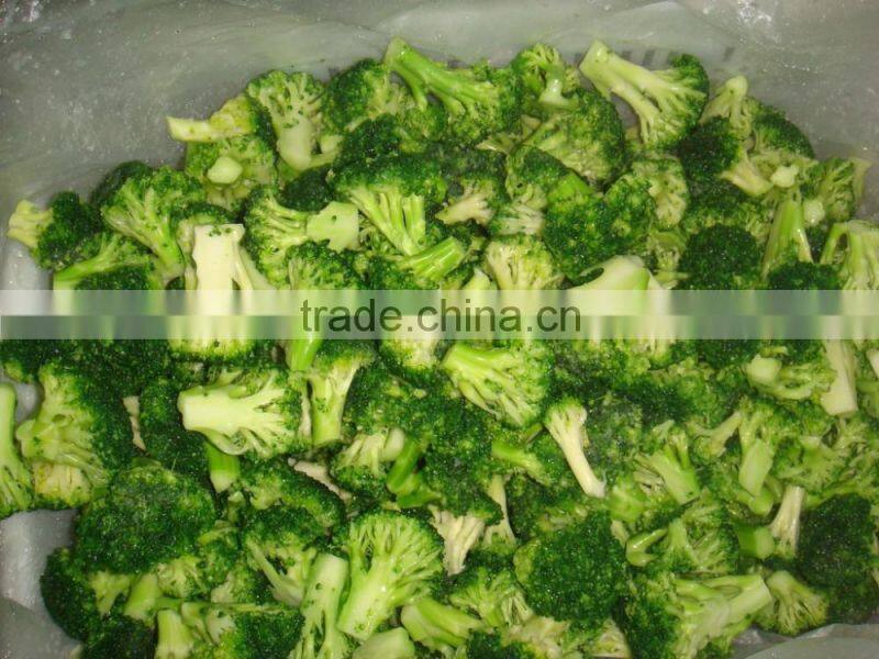 Frozen Broccoli Exporter