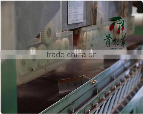 Chinese Wolfberry Extract Goji Berry Extract Powder