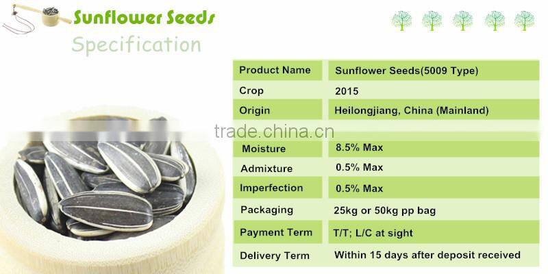 100% Natural Sunflower Seeds High Quality 1121